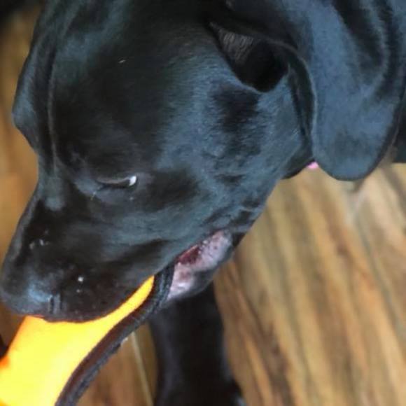 Meet your Posher, Teresa - Picture 1 of 1